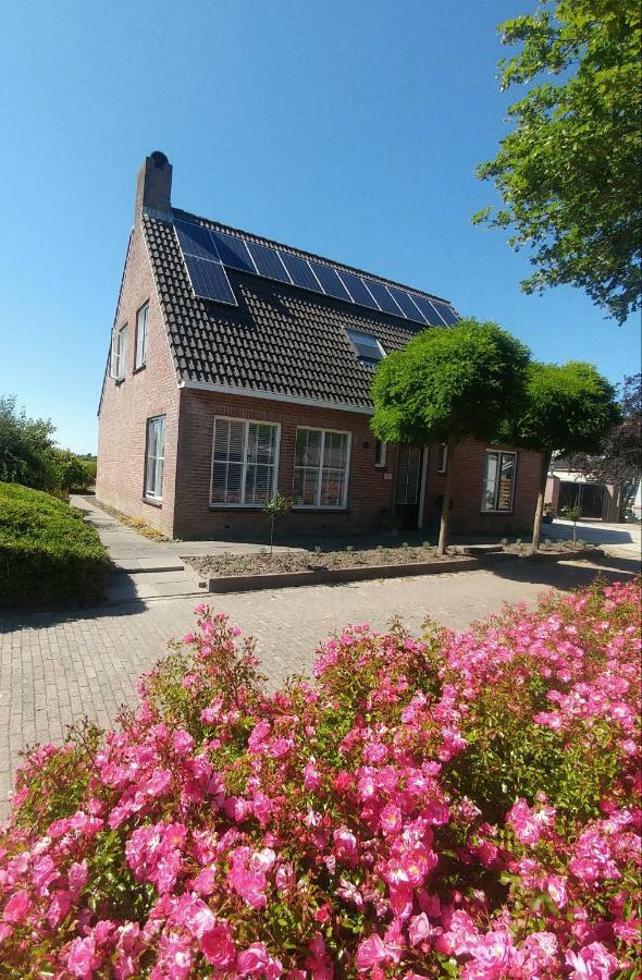 Ferienwohnung Veugelvrie Kamperland Exterior foto